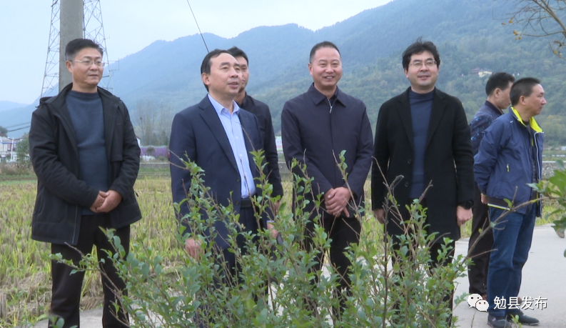 罗国才检查指导抗霖秋播工作 - 政务要闻 - 勉县人民政府